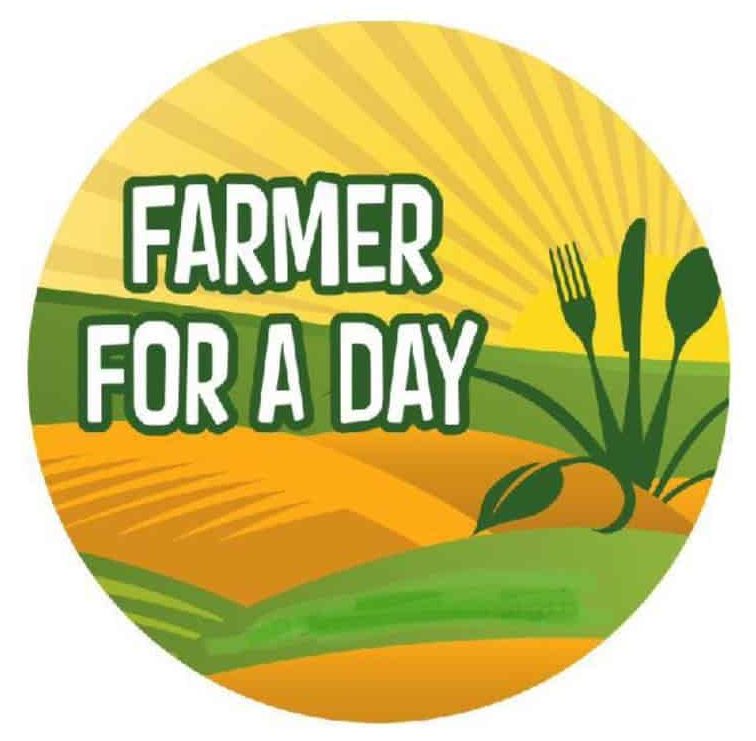 Farmer For a Day, New Egypt Flea Market, NJ