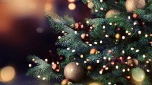 Holiday Tree Lighting- New Egypt Flea Market. NJ