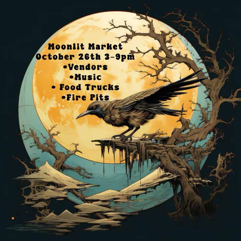 Halloween Moonlit Market- New Egypt Flea Market
